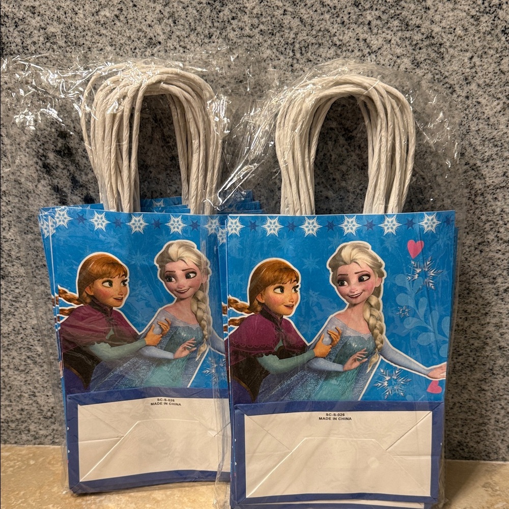 Frozen Themed Blue Party Gift Bags-2 packs of 12…24 total